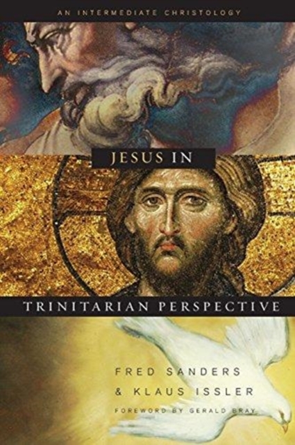 Jesus in Trinitarian Perspective : An Introductory Christology, Hardback Book