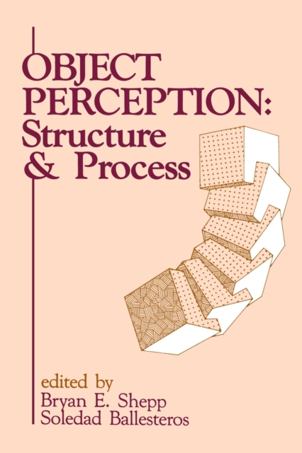 Object Perception : Structure and Process, Paperback / softback Book
