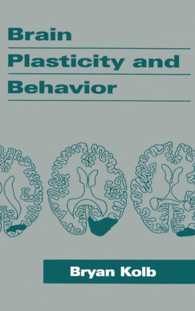 Brain Plasticity and Behavior, Hardback Book