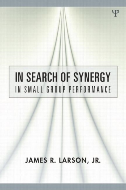 In Search of Synergy in Small Group Performance, Paperback / softback Book