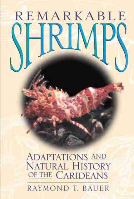 Remarkable Shrimps : Adaptations and Natural History of the Carideans, Hardback Book