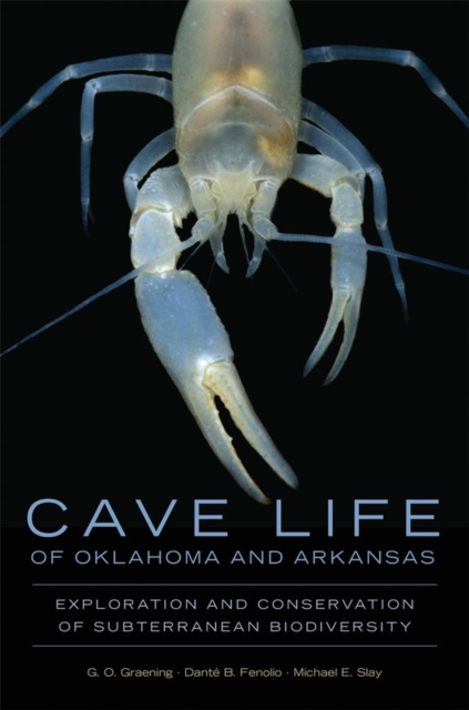 Cave Life of Oklahoma and Arkansas : Exploration and Conservation of Subterranean Biodiversity, Paperback / softback Book