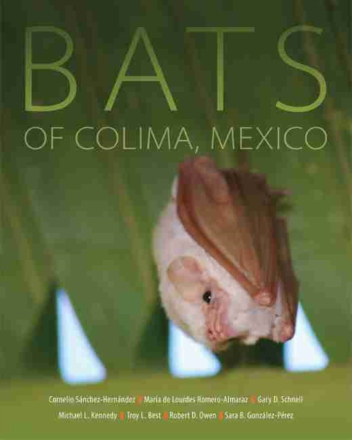 Bats of Colima, Mexico, Paperback / softback Book