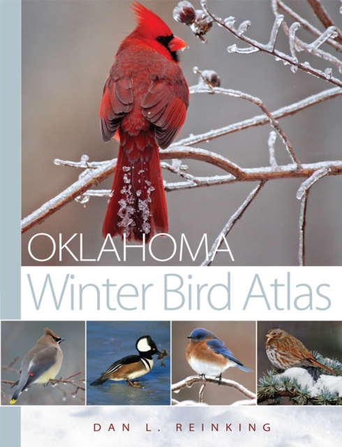 Oklahoma Winter Bird Atlas, Paperback / softback Book