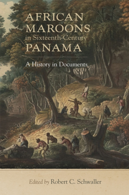 African Maroons in Sixteenth-Century Panama : A History in Documents, Paperback / softback Book