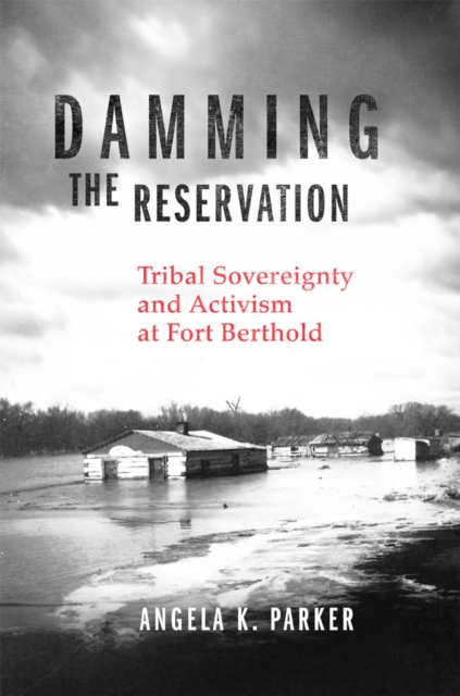 Damming the Reservation Volume 23 : Tribal Sovereignty and Activism at Fort Berthold, Hardback Book
