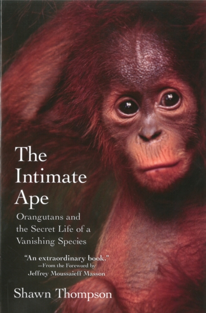 The Intimate Ape : Orangutans amd the Secret Life of a Vanishing Species, Paperback / softback Book