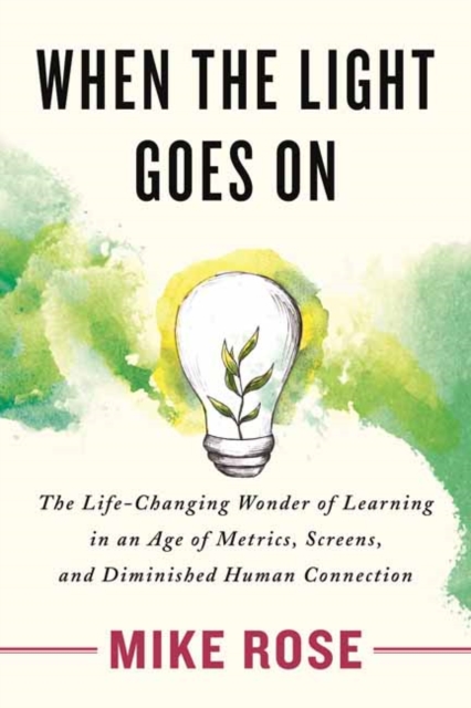 When the Light Goes On : The Life-Changing Wonder of Learning in an Age of Metrics, Screens, and Diminished Human Connection, Hardback Book