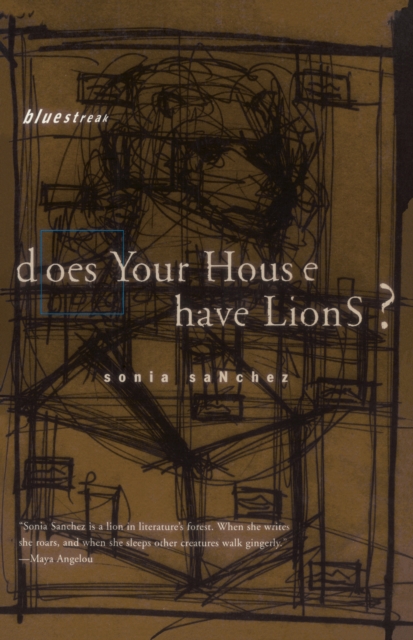 Does Your House Have Lions?, Paperback / softback Book