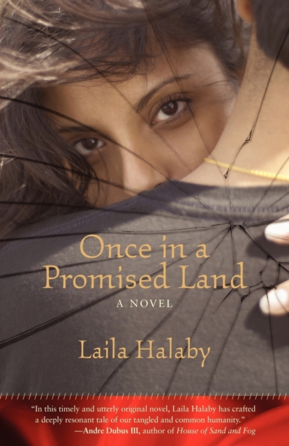 Once in a Promised Land : A Novel, Paperback / softback Book