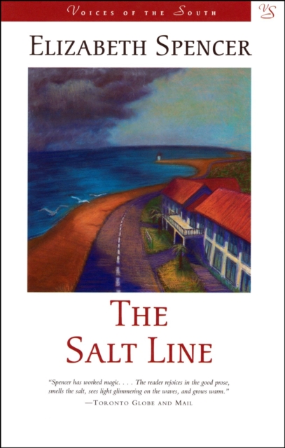 The Salt Line : A Novel, Paperback / softback Book