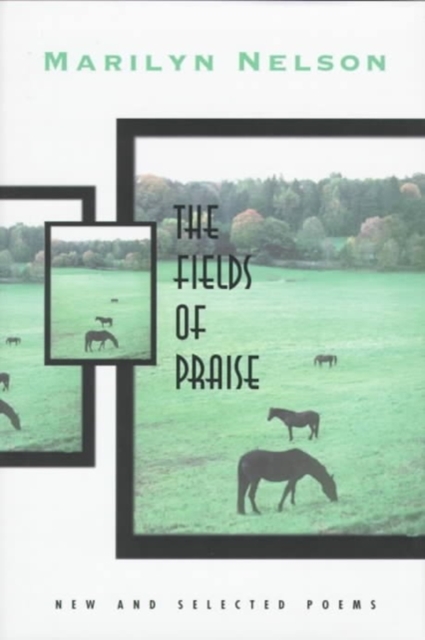 The Fields of Praise : New and Selected Poems, Hardback Book
