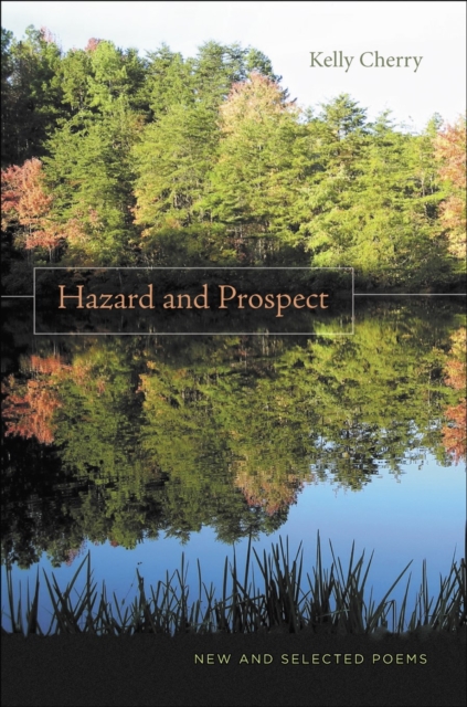 Hazard and Prospect : New and Selected Poems, Hardback Book