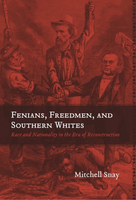 Fenians, Freedmen, and Southern Whites : Race and Nationality in the Era of Reconstruction, Paperback / softback Book