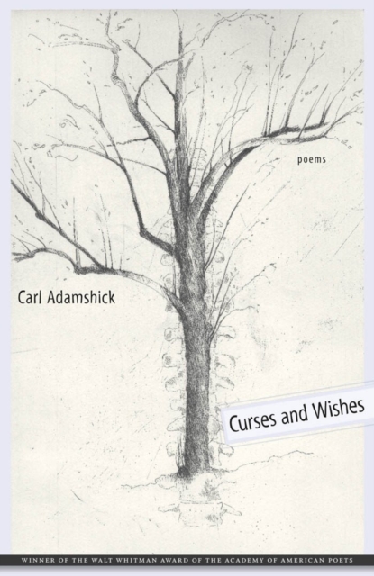 Curses and Wishes : Poems, PDF eBook