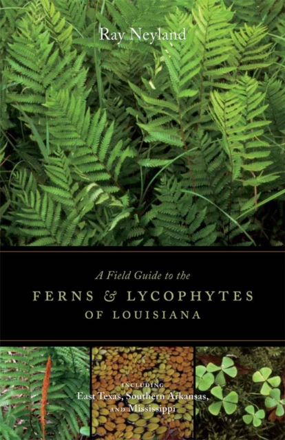 A Field Guide to the Ferns and Lycophytes of Louisiana, EPUB eBook