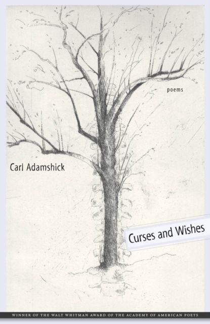 Curses and Wishes : Poems, EPUB eBook