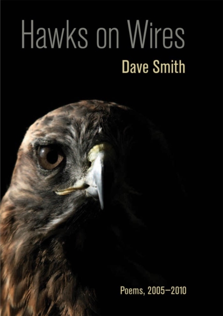 Hawks on Wires : Poems, 2005-2010, EPUB eBook