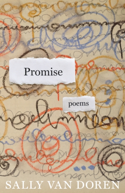 Promise : Poems, Paperback / softback Book