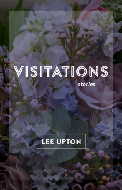 Visitations : Stories, EPUB eBook