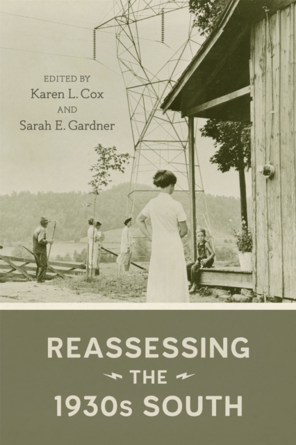 Reassessing the 1930s South, PDF eBook