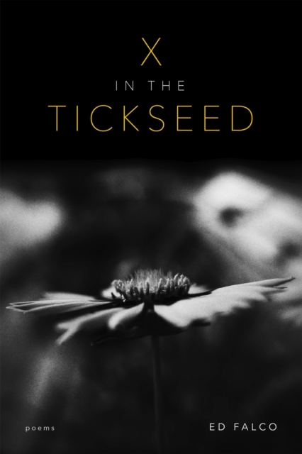 X in the Tickseed : Poems, Paperback / softback Book