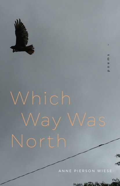Which Way Was North : Poems, Paperback / softback Book