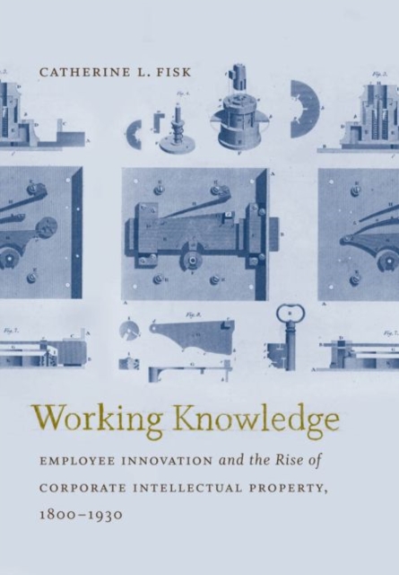 Working Knowledge : Employee Innovation and the Rise of Corporate Intellectual Property, 1800-1930, Hardback Book