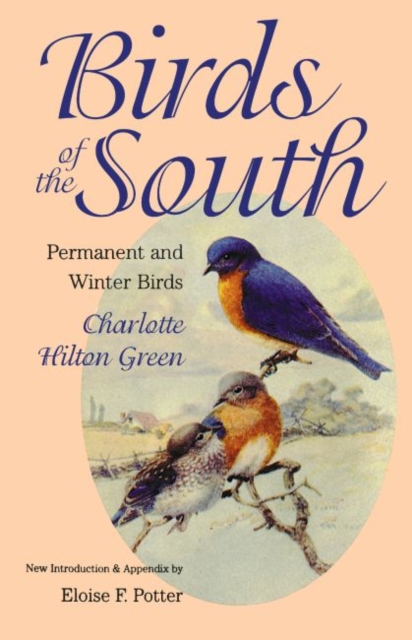 Birds of the South : Permanent and Winter Birds, Paperback / softback Book
