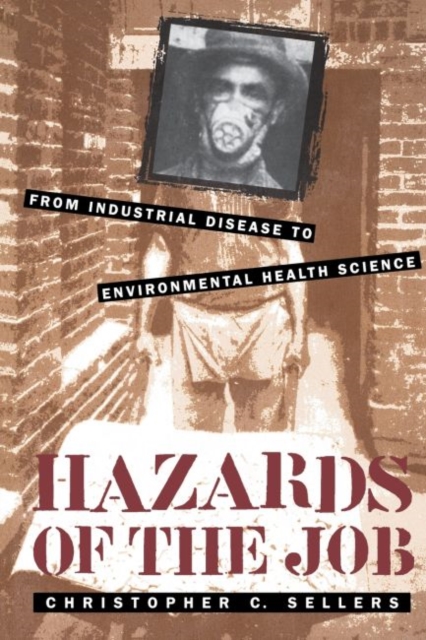 Hazards of the Job : From Industrial Disease to Environmental Health Science, Paperback / softback Book