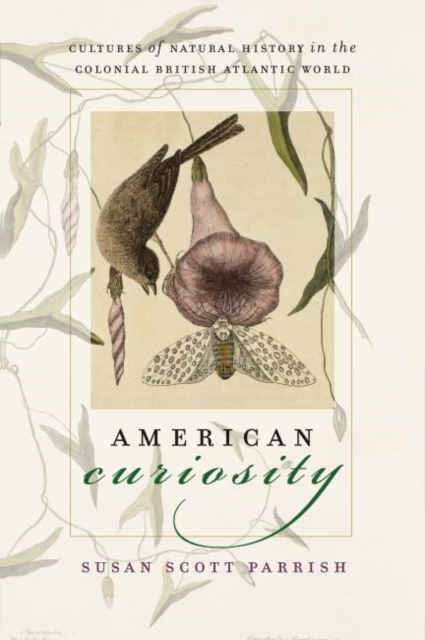 American Curiosity : Cultures of Natural History in the Colonial British Atlantic World, Paperback / softback Book