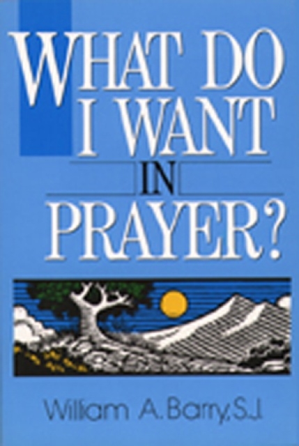 What Do I Want in Prayer?, Paperback / softback Book