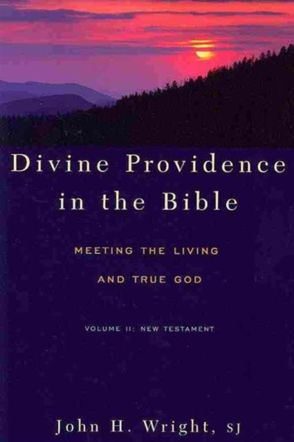 Divine Providence in the Bible : Meeting the Living and True God New Testament v. 2, Paperback / softback Book