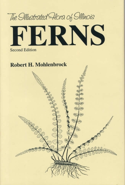 Ferns, Hardback Book