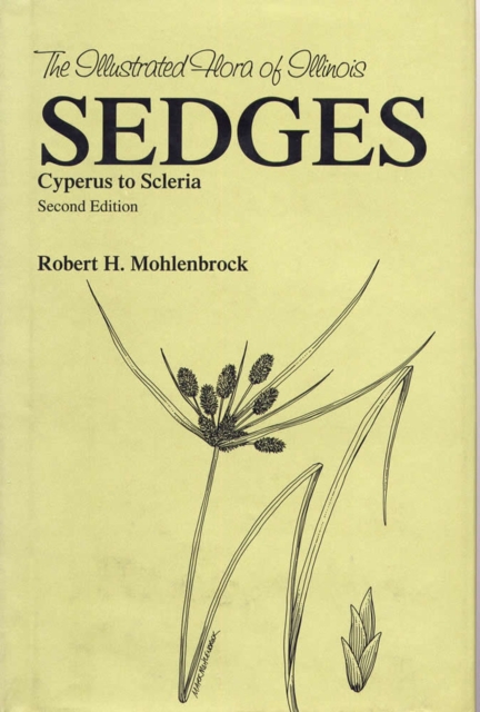 Sedges : Cyperus to Scleria, Hardback Book