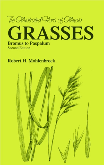 Grasses  Bromus to Paspaulum, Paperback / softback Book