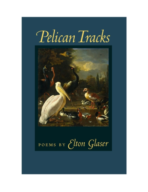 Pelican Tracks, Paperback / softback Book