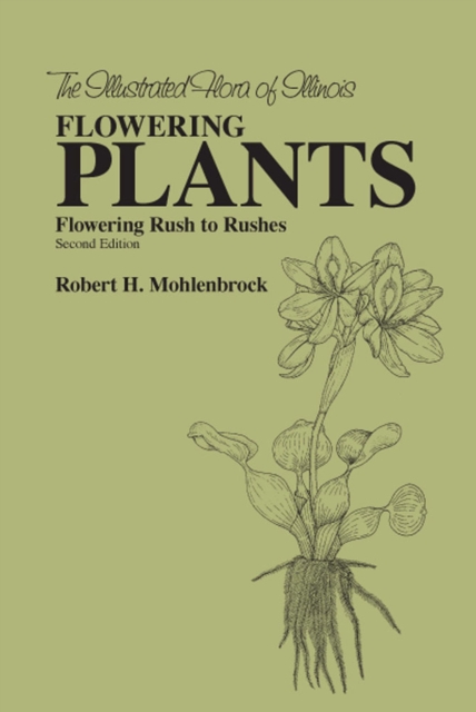 The Flowering Plants: Flowering Rush to Rushes : Flowering Rush to Rushes, Hardback Book