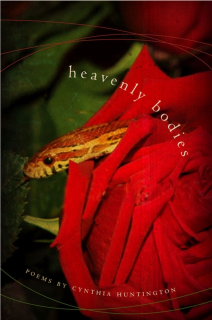 Heavenly Bodies, Paperback / softback Book