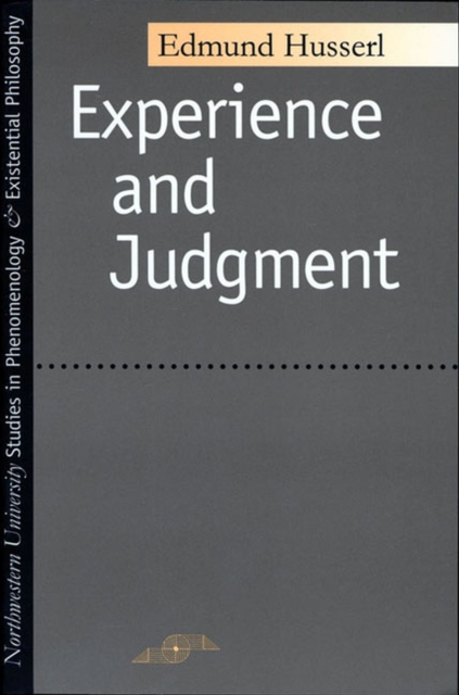 Experience And Judgment, Paperback / softback Book