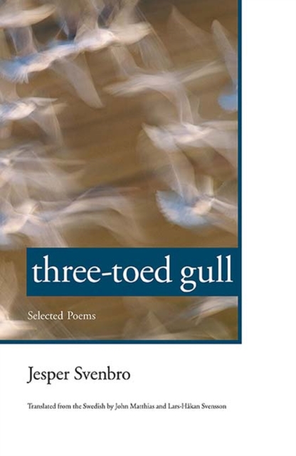 Three-toed Gull : Selected Poems, Hardback Book