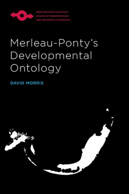 Merleau-Ponty's Developmental Ontology, Paperback / softback Book