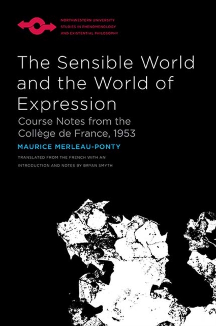 The Sensible World and the World of Expression : Course Notes from the College de France, 1953, Hardback Book