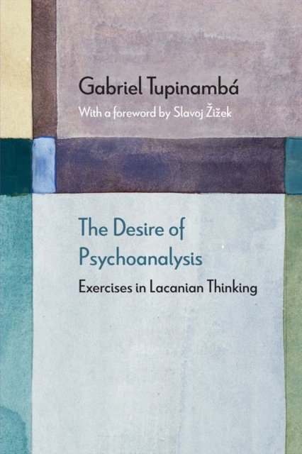 The Desire of Psychoanalysis : Exercises in Lacanian Thinking, Hardback Book