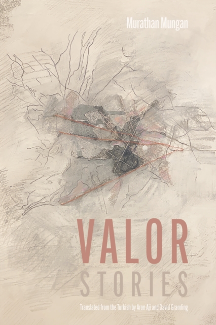 Valor : Stories, EPUB eBook