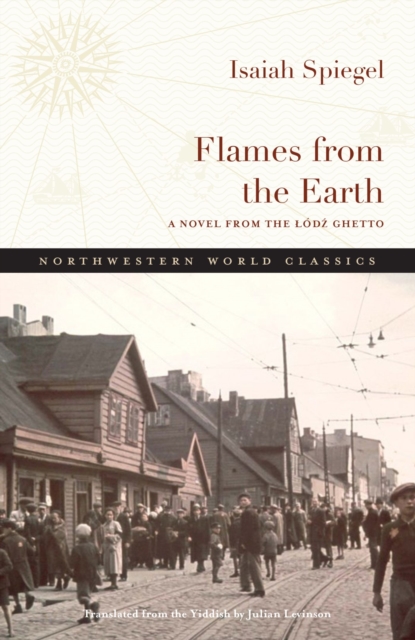 Flames from the Earth : A Novel from the Lodz Ghetto, Paperback / softback Book
