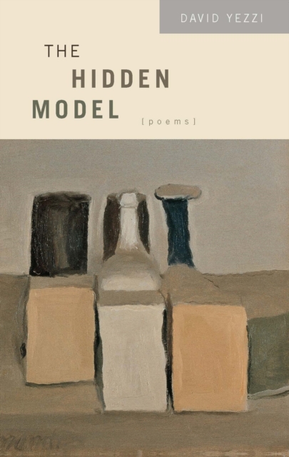 The Hidden Model : Poems, Paperback / softback Book