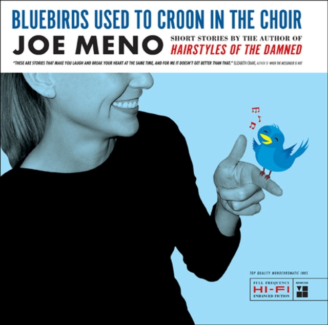 Bluebirds Used to Croon in the Choir : Stories, Hardback Book