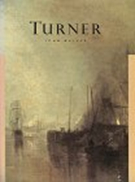 Turner (Moa Abrams), Hardback Book