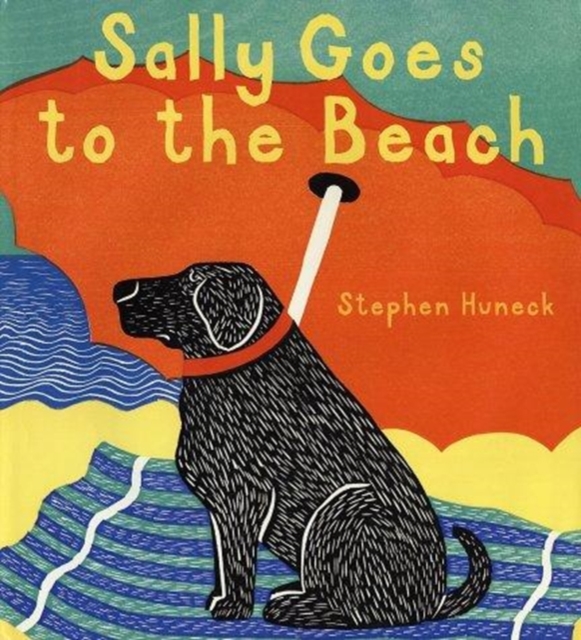 Sally Goes to the Beach, Hardback Book